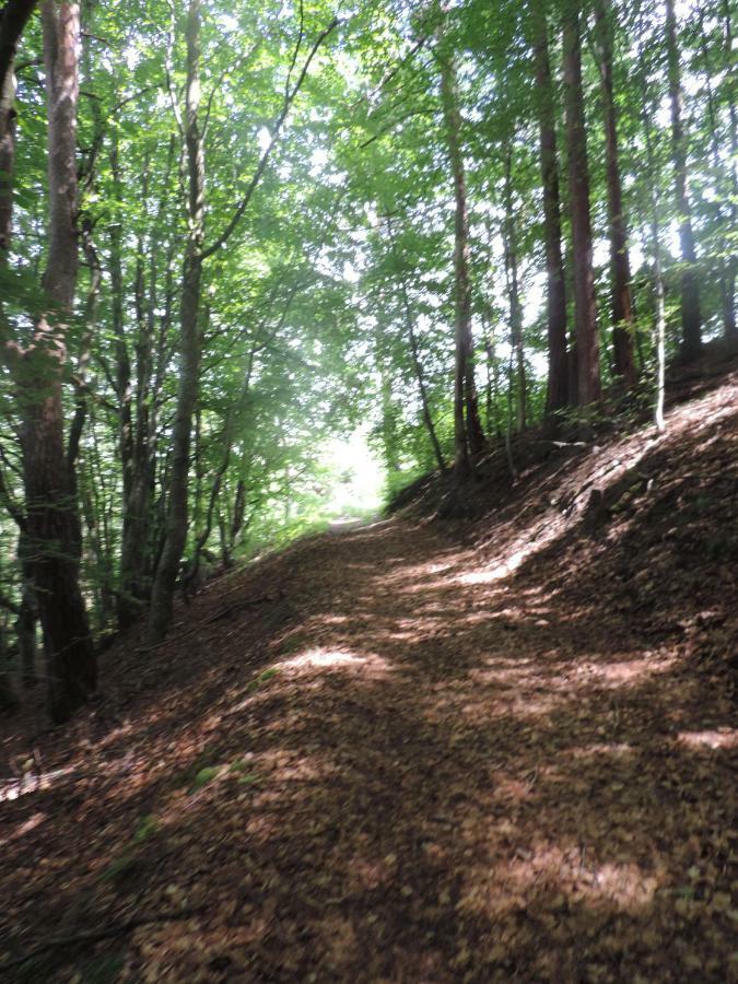 Se Reconnecter A La Nature Au Gite 3 Etoiles De Montager A Saint Andre De Chalencon Εξωτερικό φωτογραφία