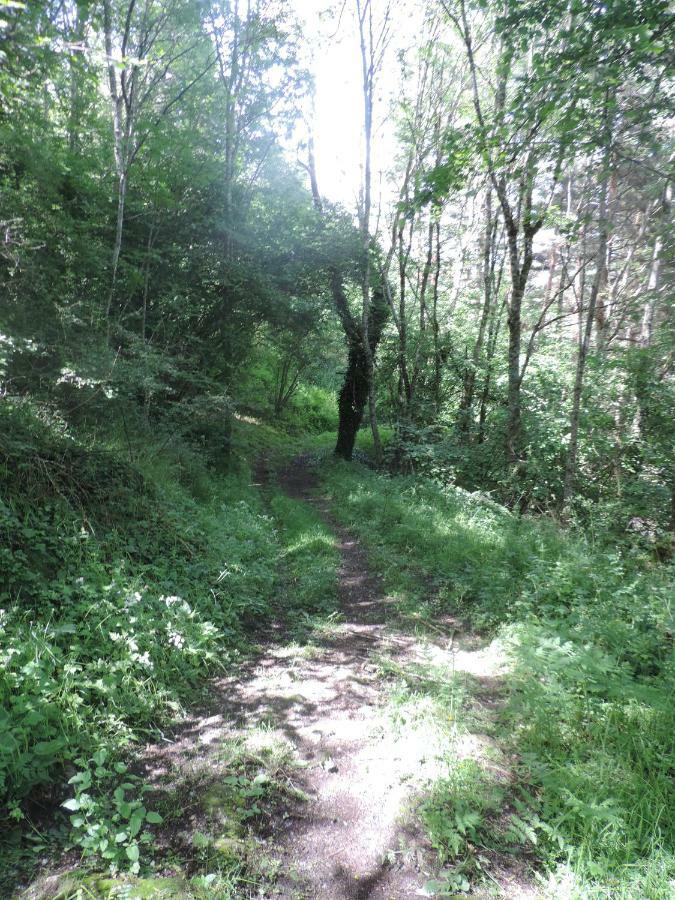 Se Reconnecter A La Nature Au Gite 3 Etoiles De Montager A Saint Andre De Chalencon Εξωτερικό φωτογραφία
