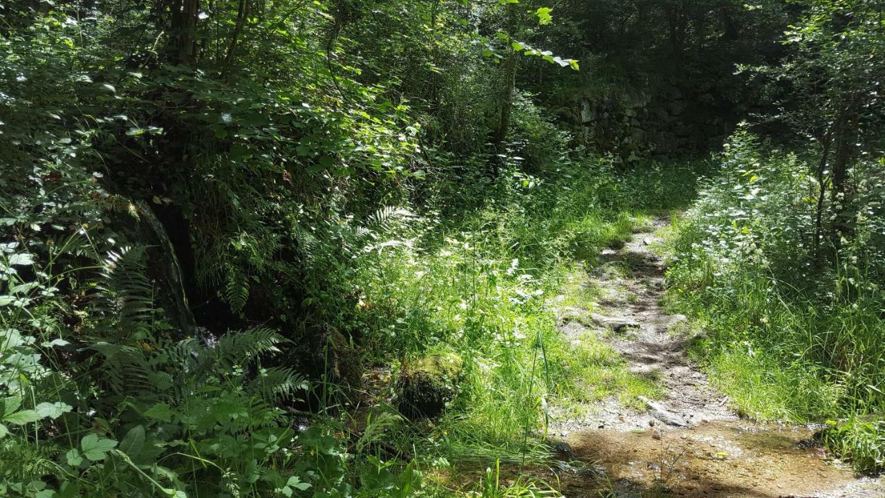 Se Reconnecter A La Nature Au Gite 3 Etoiles De Montager A Saint Andre De Chalencon Εξωτερικό φωτογραφία