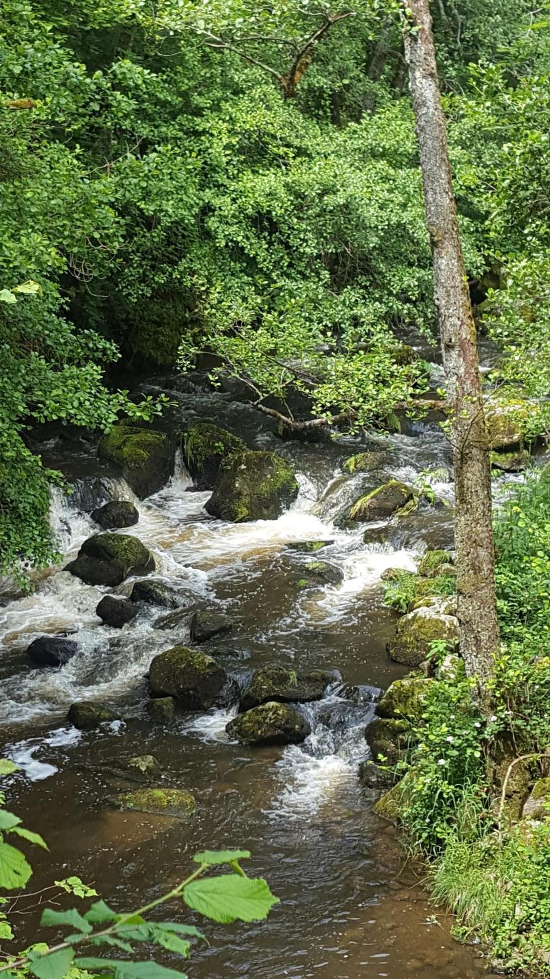 Se Reconnecter A La Nature Au Gite 3 Etoiles De Montager A Saint Andre De Chalencon Εξωτερικό φωτογραφία
